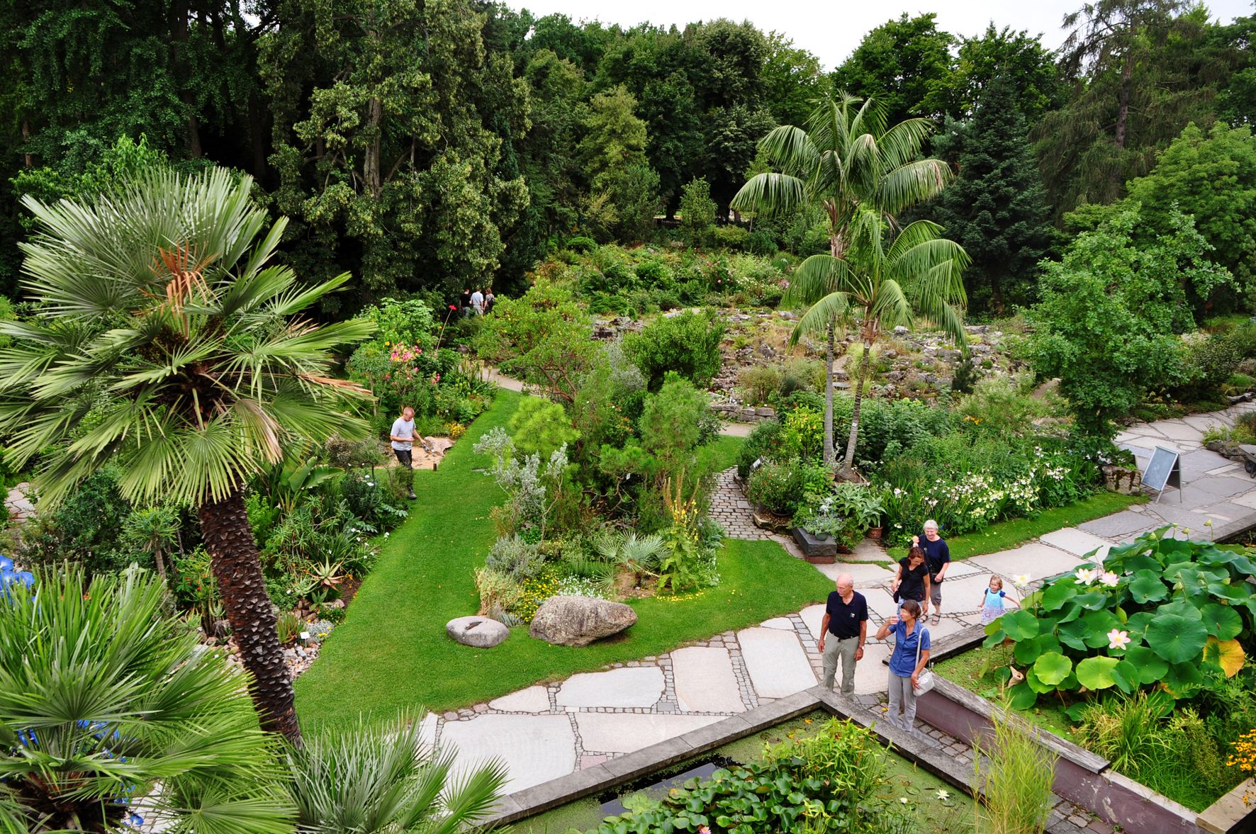 Ausstellungseröffnung Die Grüne Apotheke Vom Hortus